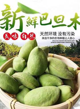 新鲜巴旦木青皮原味当季扁桃仁杏仁八达木应季水果1-5斤包邮厚壳