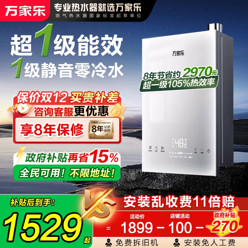 政府补贴一级能效静音燃气热水器