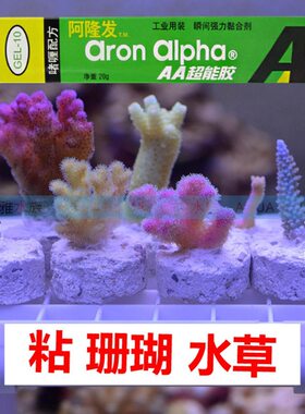 阿隆发其它水族用具设备