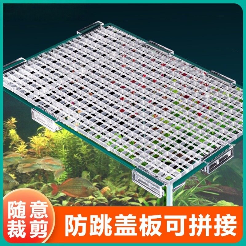 龙祥宫其它水族用具设备图片