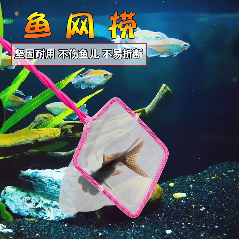 鱼缸鱼捞捞兜方形鱼捞手抄鱼网金鱼观赏鱼渔捞水族箱抄网红色塑料