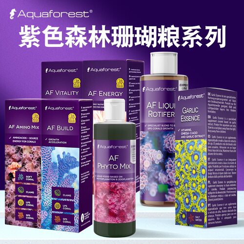 AF紫色森林海缸天然珊瑚粮氨基酸
