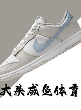 Nike女子DUNK低帮奶茶色板鞋