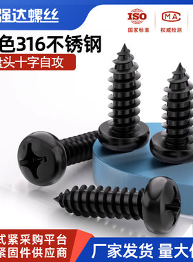 黑色316不锈钢十字盘头自攻螺丝钉圆头电子M2.9M3.5/9M4.2/8M5.5