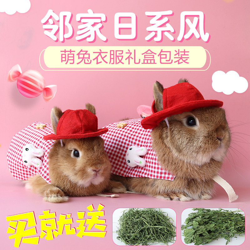 兔子穿的衣服宠物兔小型 薄款侏儒呆萌套装带牵引 猫猫夏季幼稚园在类目 宠物/宠物食品及用品, 兔类及其用品, 服饰中 - 来自Buy2taobao.com提供专业的淘宝代购服务