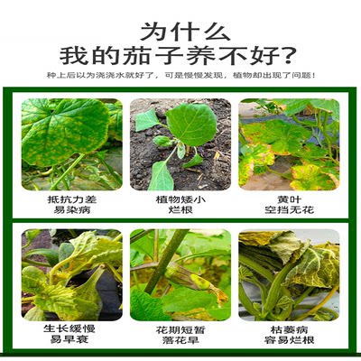 茄子肥料茄子专用肥复合肥番茄黄瓜辣椒蔬菜开花结果种不只蕃茄