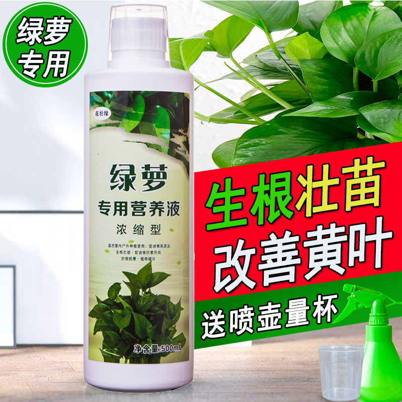 绿萝营养液肥料专用肥盆栽绿萝吊兰花肥土水培养花液体肥植物绿植
