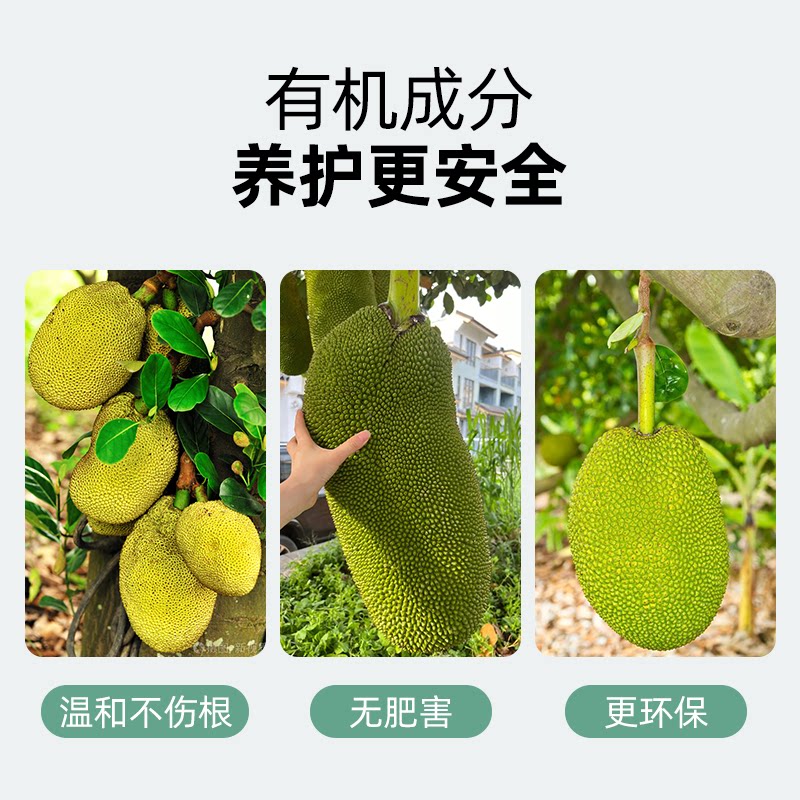 菠萝蜜专用肥苞萝肥料大树菠萝蜜冬瓜菠萝蜜树苗氮磷钾有机缓释肥