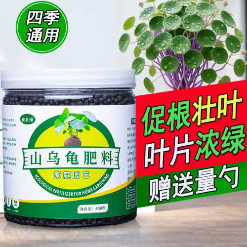 山乌龟专用肥金不换千金藤肥料