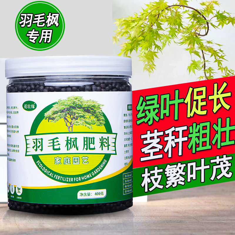 羽毛枫专用肥庭院树苗专用花木肥