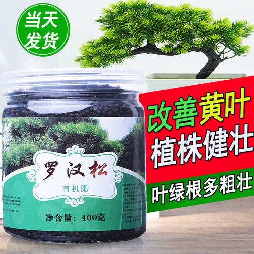 罗汉松肥料绿植通用肥促进绿叶