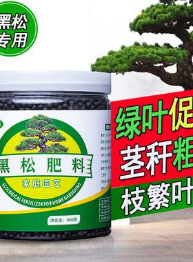 花壮缘黑松专用肥松树罗汉松肥料