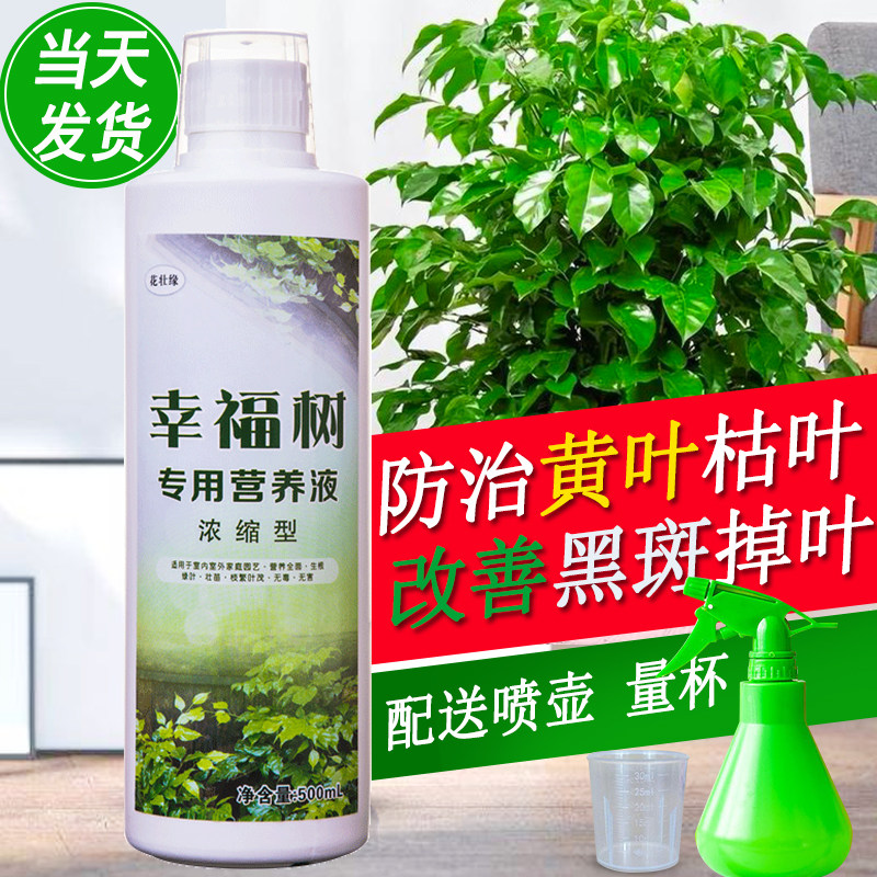 幸福树肥料专用肥幸福树专用营养液盆栽绿植花肥复合肥平安树通用