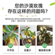 沙漠玫瑰专用肥营养液沙漠玫瑰花肥开花土玖瑰怎么肥料盆栽养护催