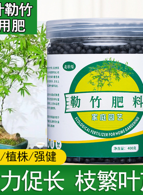 小叶勒竹专用肥勒竹营养液室内盆栽盆景叶子发黄竹类竹子水培颗粒