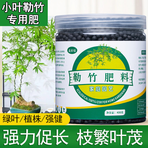 勒竹肥料促生长生根治黄叶