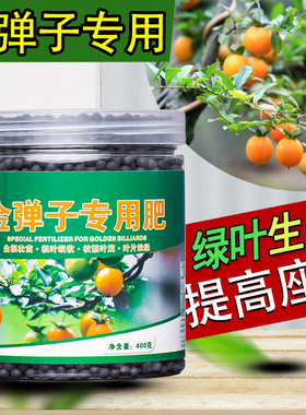 金弹子专用肥营养液金蛋子肥料生根粉盆景玉肥盆栽花肥老鸦柿土果