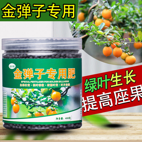 金弹子肥料促生长开花结果