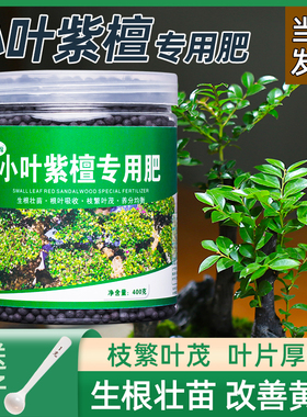 小叶紫檀专用肥营养液小叶紫檀肥料小叶赤楠盆栽盆景紫檀土养护