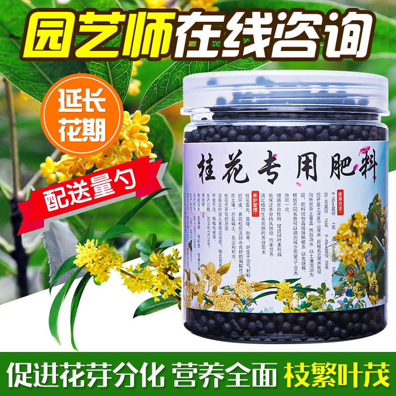 桂花肥料桂花治叶斑病枯叶病