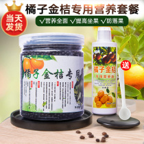 金桔树肥料 金桔树肥料图片 价格 品牌 评价和金桔树肥料销量排行榜