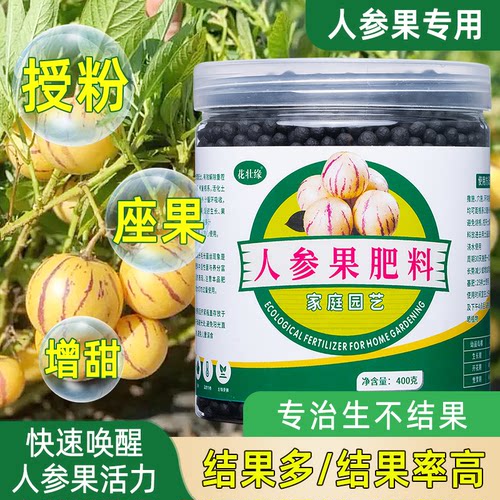 人参果授粉座果防落高产肥
