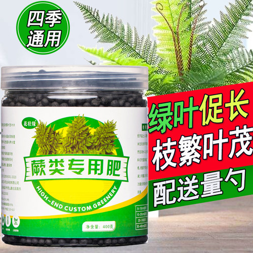 蕨类肥料助长绿叶预防黄叶