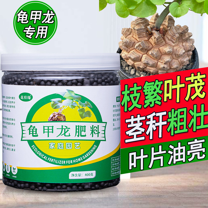 龟甲龙肥料专用肥绿叶营养液