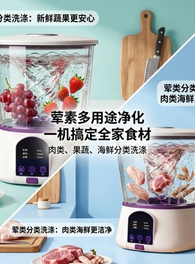 果蔬清洗消毒机家用洗菜机果蔬清洗净化机小型无线食材清洗消毒机