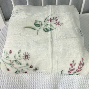 外贸尾单出口尾单珊瑚绒印花床单柔然亲肤双人毛毛睡单200*230cm