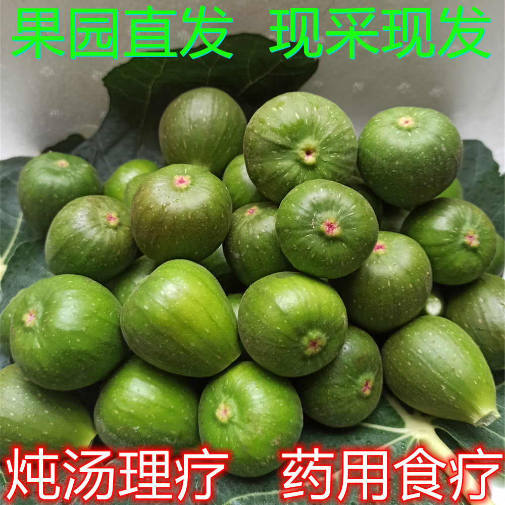 新鲜生无花果青果现摘未成熟小青果(不能直接吃）