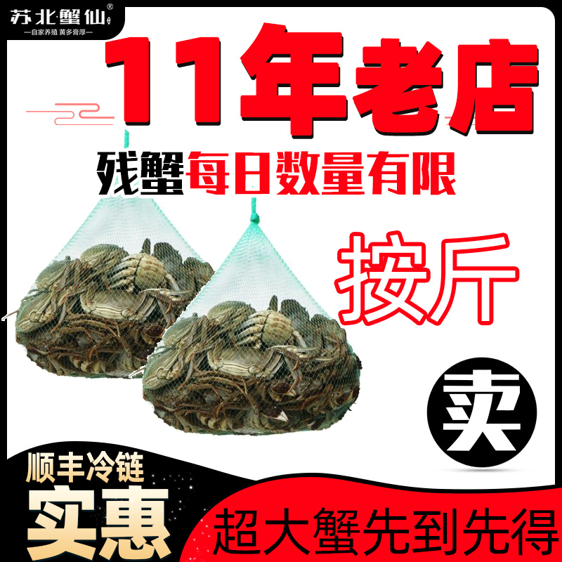 江苏泰州兴化市残蟹红膏大蟹特级残公大闸蟹螃蟹鲜活特大断腿蟹