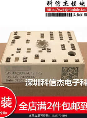 SKIIP20NAC12IT42 SKIIP20NAC12IT2 模块现货直接拍