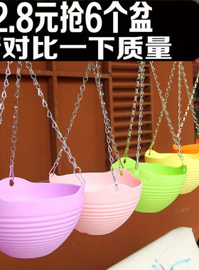 垂吊挂式pp树脂塑料吊兰绿萝盆栽