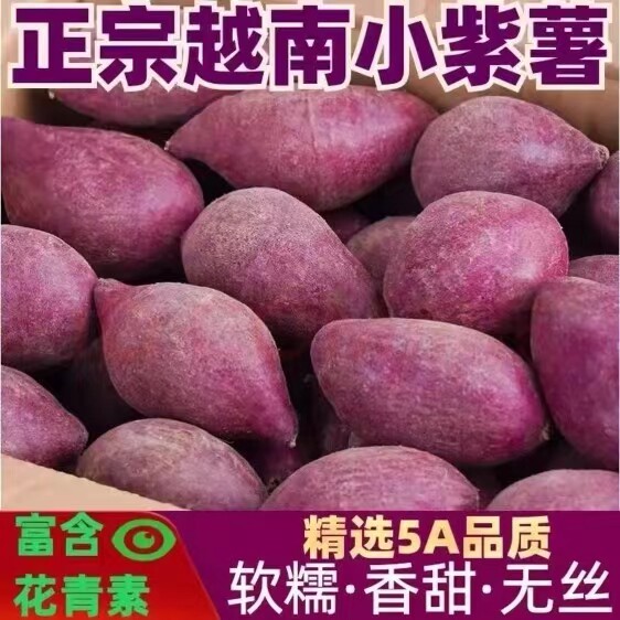 (活动款）正宗越南小珍珠紫薯迷你小紫薯粉面甜营养粗粮宝宝辅食