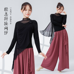 蓝色打底衫女古典舞蹈练功服网纱半高领接飘带上衣长袖形体服新款