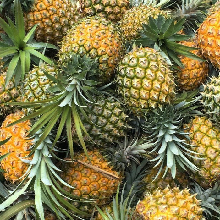现摘新鲜菠萝香水菠萝当季热带水果凤梨多汁菠萝除甲醛整箱包邮