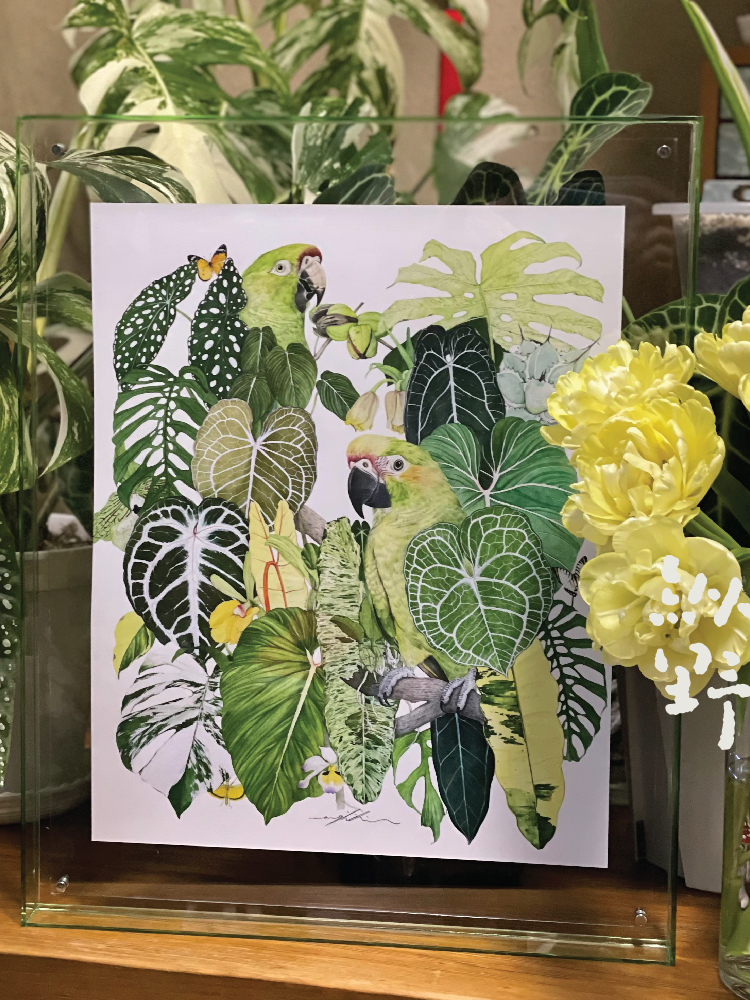 纵野二怂先生 热带植物创意工艺画装饰画原创画作彩色印刷系小众图片