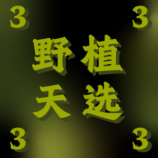 纵野 客厅绿植室内大盆栽趣味好看稀有花烛蔓绿绒 3号直播专拍