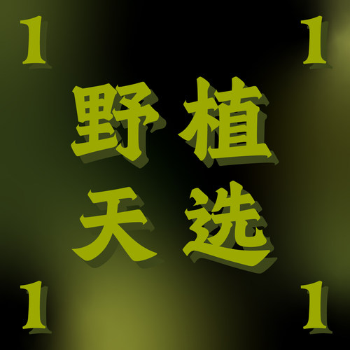 纵野 / 1号直播专拍 热带观叶盆栽装饰趣味盆景客厅绿植落地