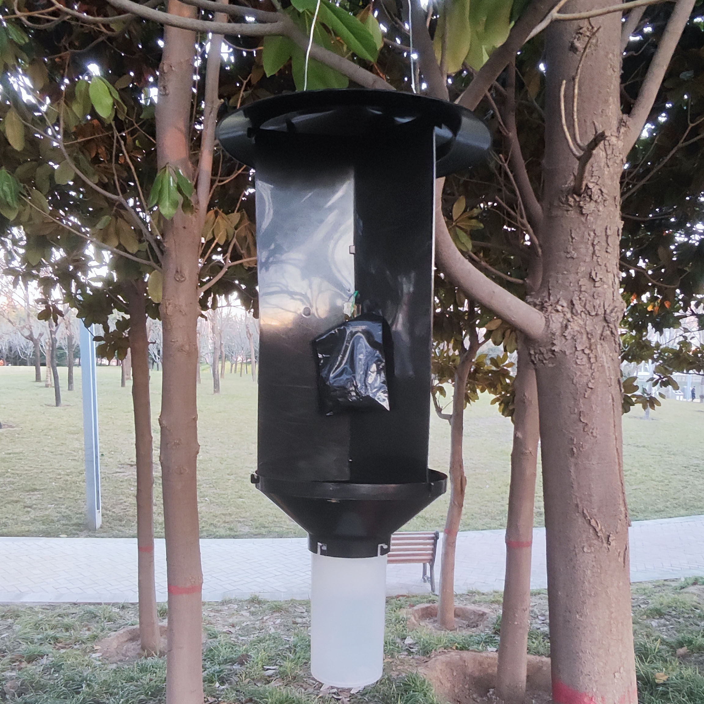 广谱性天牛诱芯云杉花墨天牛引诱剂广谱性小蠹诱芯诱捕器六层漏斗,农机/农具/农膜,其它农用工具,淘宝优惠券,粉丝福利购,淘宝优惠卷