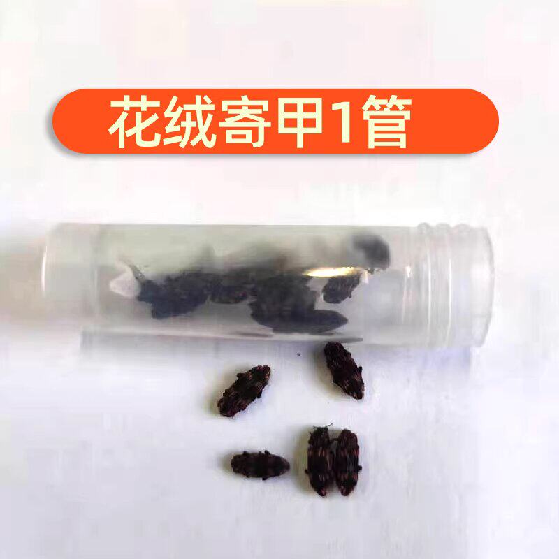 活体发货，成活率高，价格低图片