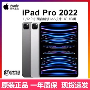 英寸 iPad 24款 苹果 13寸平板电脑 22款 21款 Apple Pro2020款