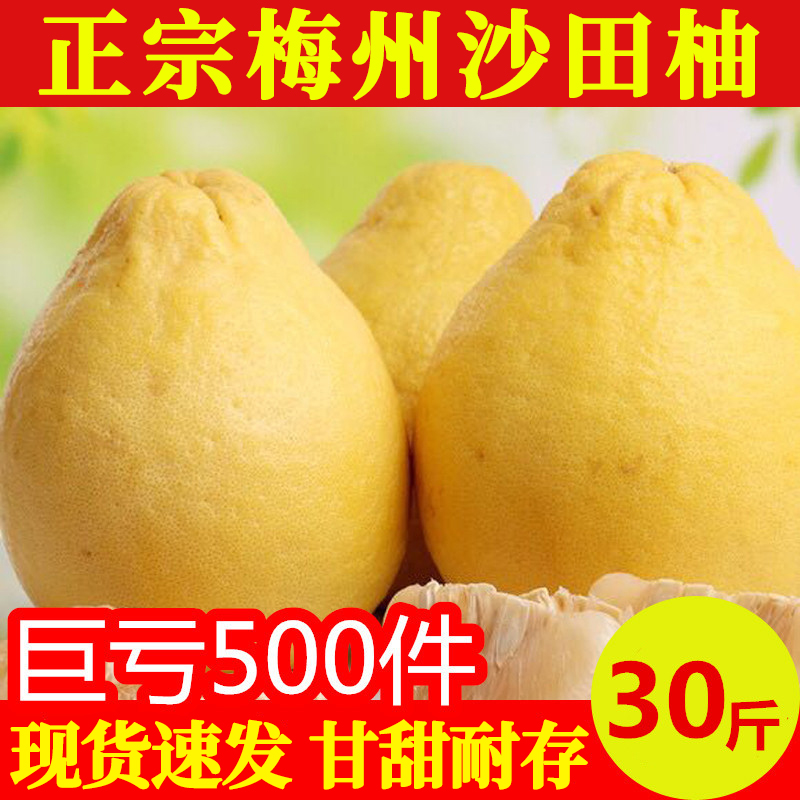 正宗梅州沙田柚纯甜不酸