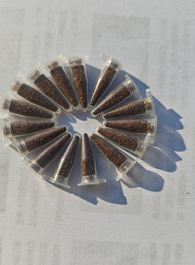 24年库存种子大清仓，一管0.2毫升，国际惯例不包发芽率