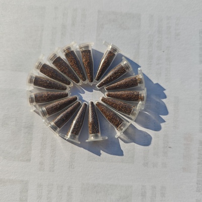 24年库存种子大清仓，一管0.2毫升，国际惯例不包发芽率