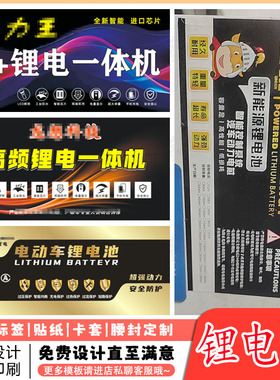 定制磷酸铁锂电瓶标签48v电动车锂电池贴纸不干胶logo设计印刷