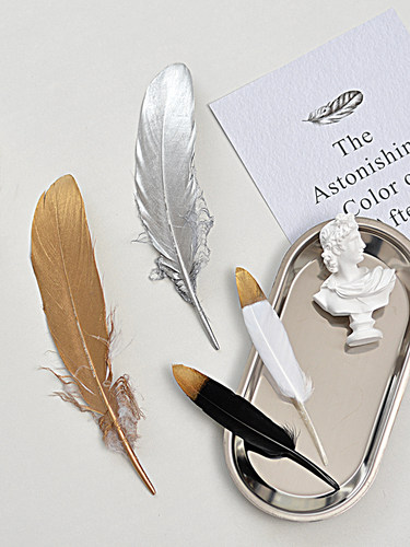 复古喷漆羽毛简约装饰拍照道具