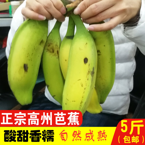 高州芭蕉5斤广东原生态新鲜孕妇