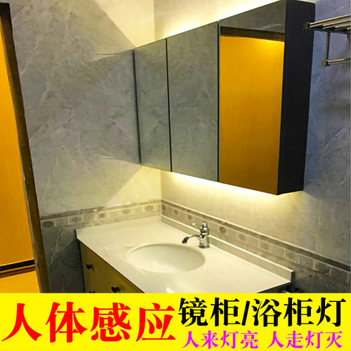 LED智能人体感应镜柜灯